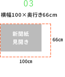 100×66cm